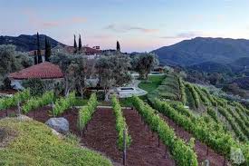 Cielo Farms Wine, Wineries, Tasting Rooms & Vineyards Event Venues